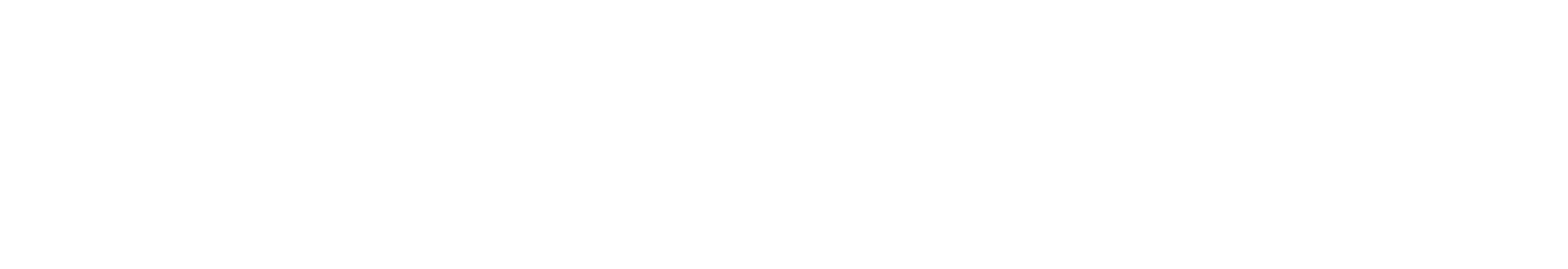 wisetack logo 